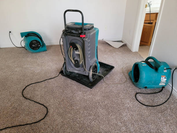 Best Commercial water damage restoration  in Deerfield, MI