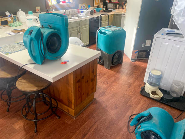 Best 24-hour water damage restoration  in Deerfield, MI