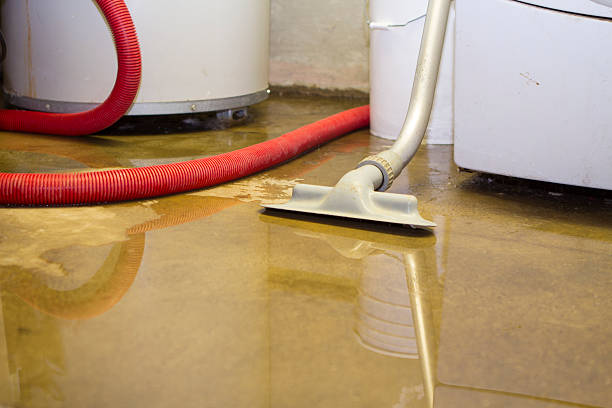 Best Commercial water damage restoration  in Deerfield, MI