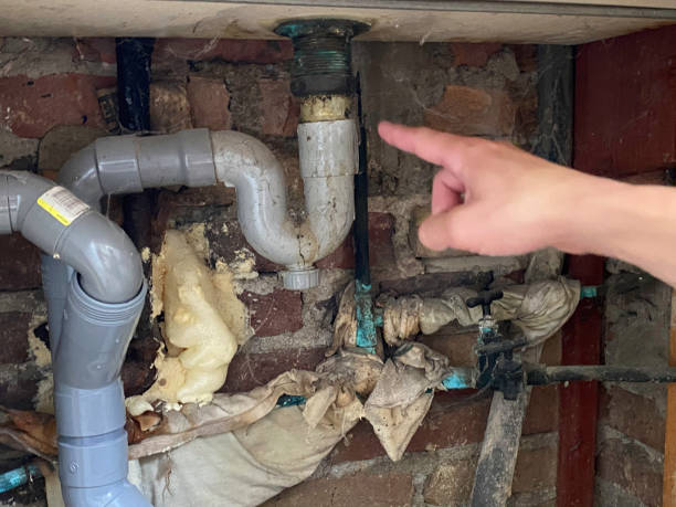 Best Carpet water damage restoration  in Deerfield, MI