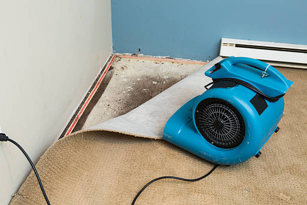 Best Ceiling water damage repair  in Deerfield, MI